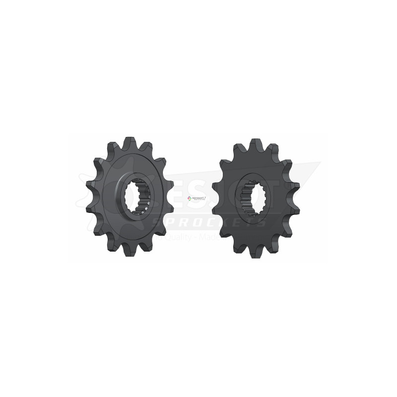 Esjot 520 14t front sprocket (JT 1441)