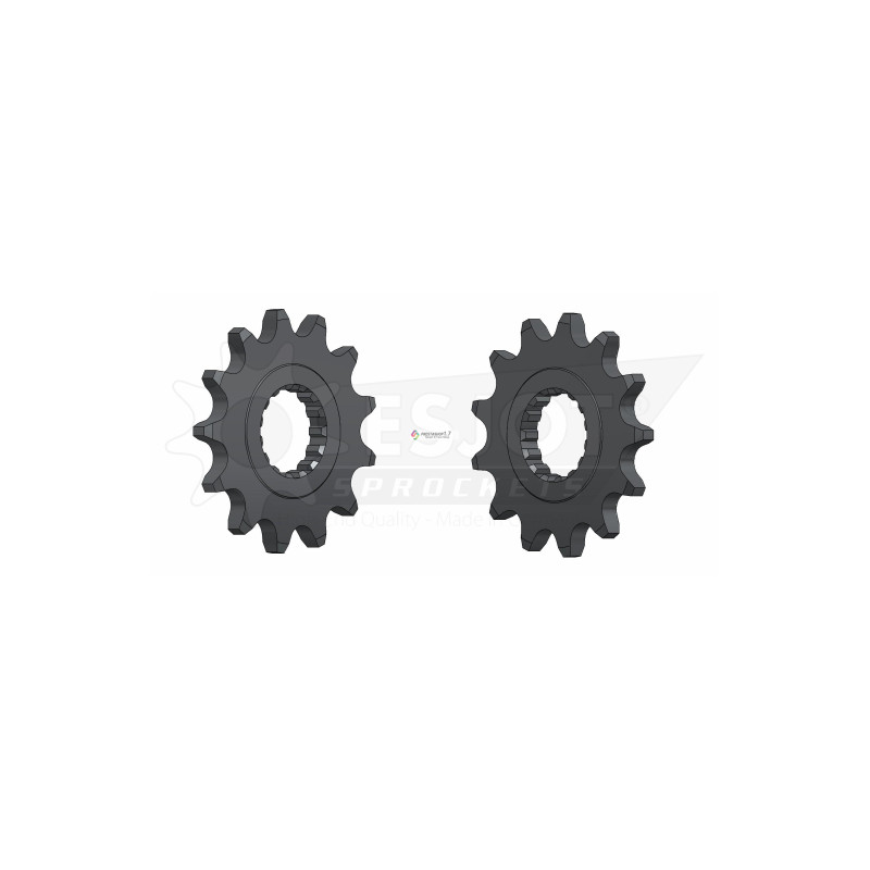 Esjot 520 13t front sprocket (JT 1592)