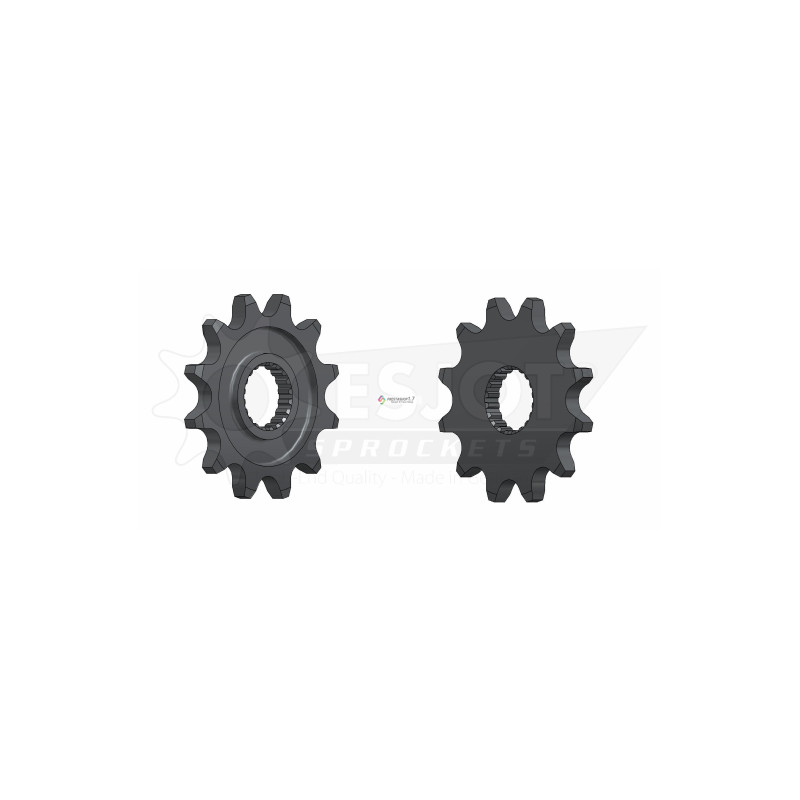 Esjot 520 12t front sprocket (JT 1590)