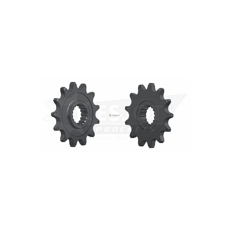 Esjot 520 13t front sprocket (JT 1441)